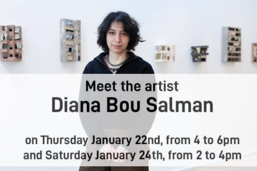 Meet The Artist - Diana Bou Salman - Ombres et Abris